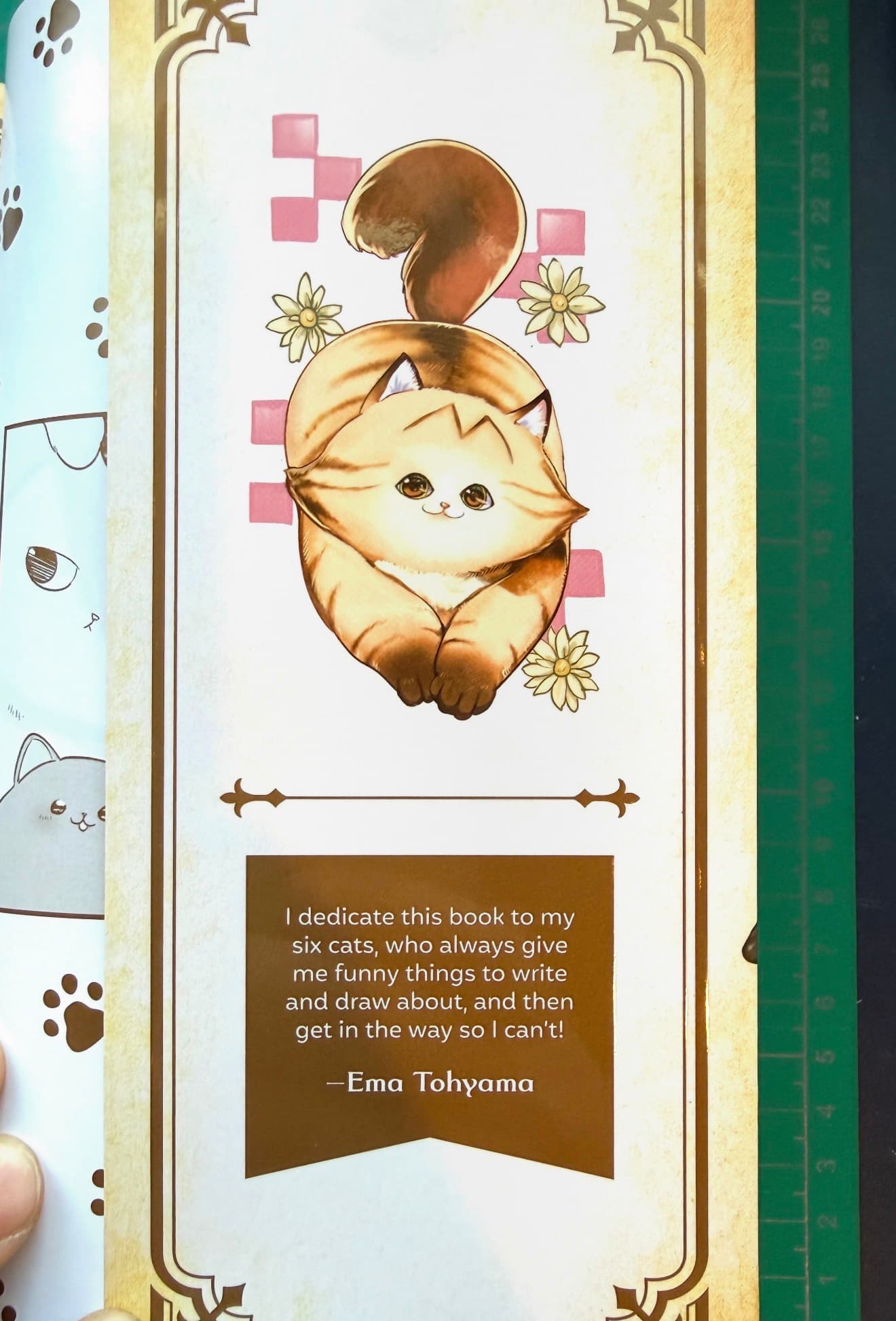 A Cat Is A Cat In Any Life by Ema Tohyama