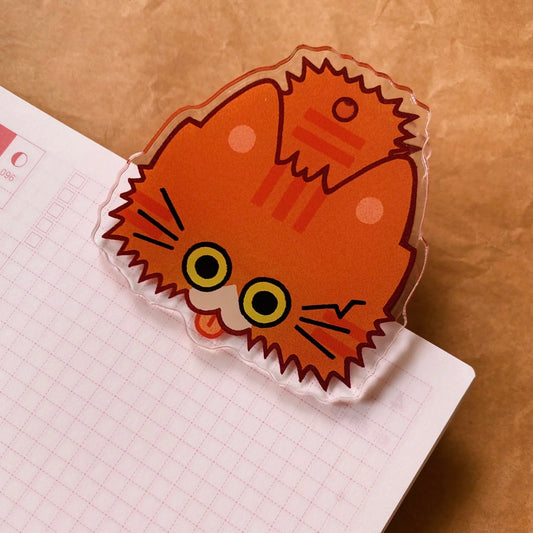 Notebook Clip: Ginger Cat