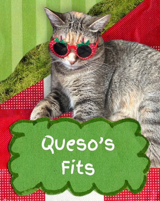 Queso's Fits by Tima Ozen