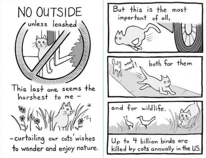 Cat Rules zine