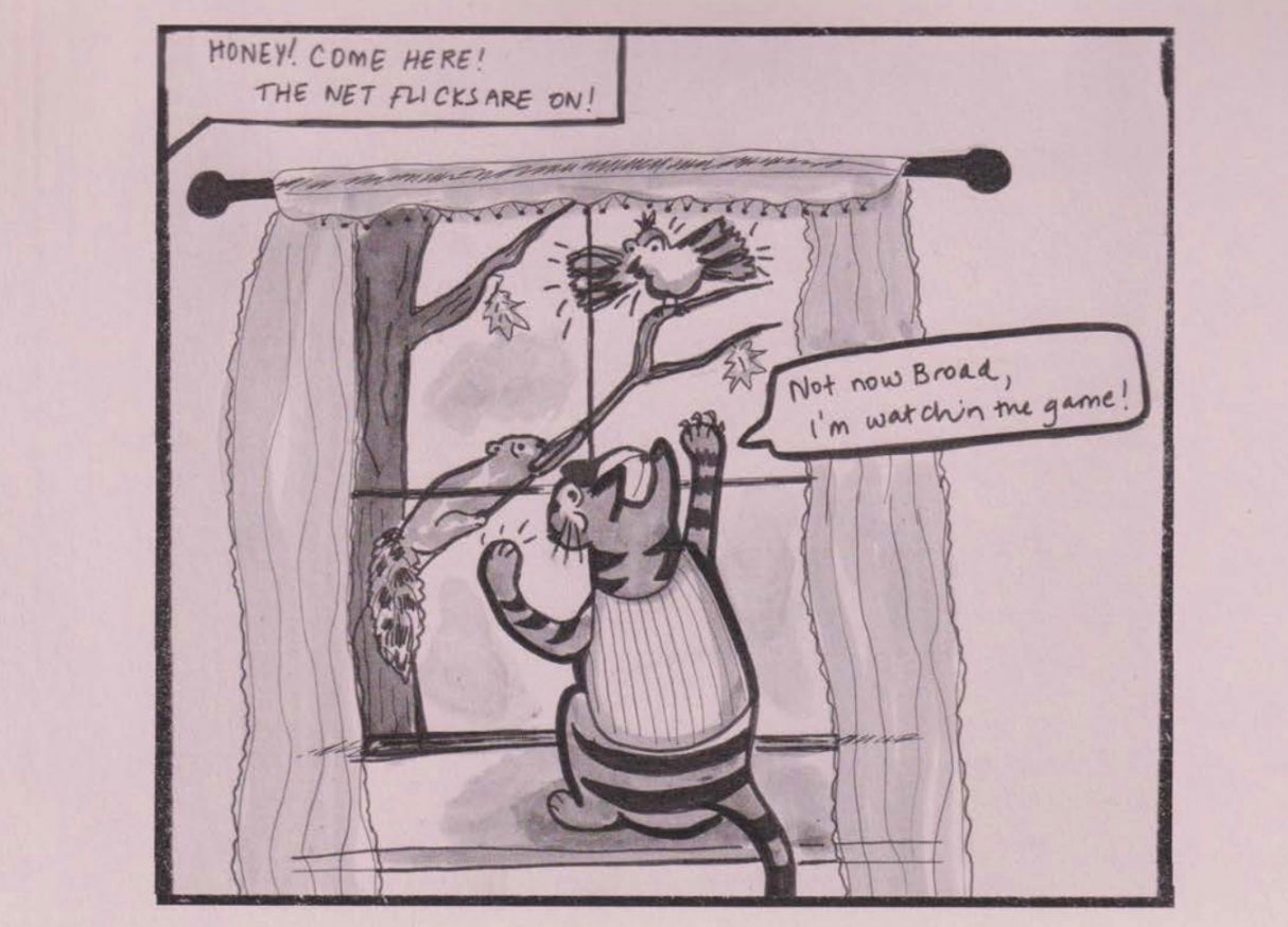 Aimless Domestic zine