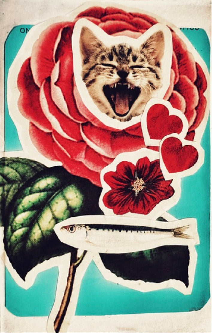 Love Cats zine