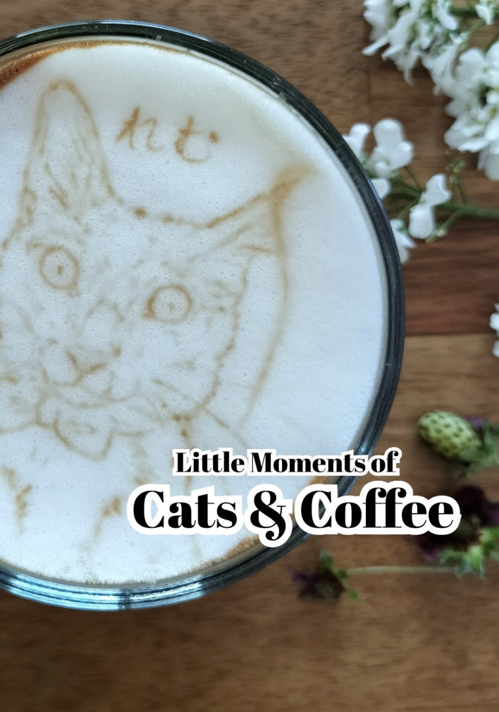 Little Moments of Cats & Coffee zine