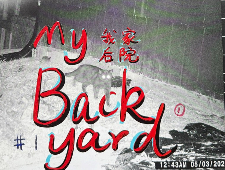 My Backyard No.1 zine