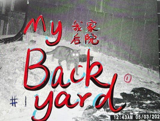 My Backyard No.1 zine
