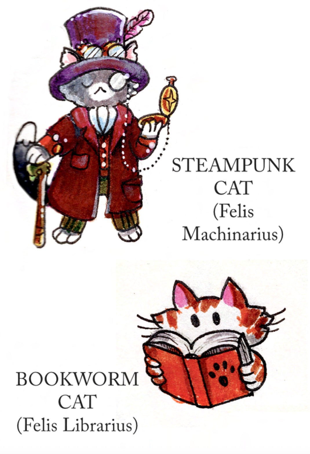 Encyclopedia of Uncommon Felines zine