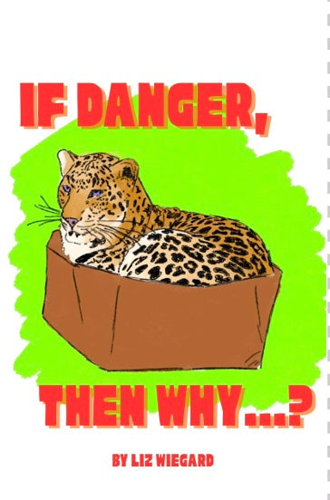 “If Danger, Then Why…?” zine