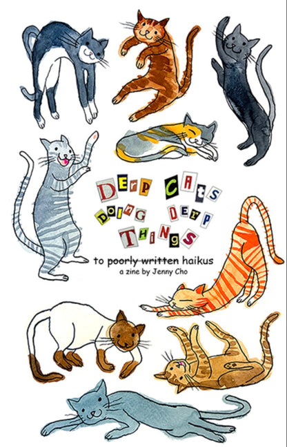Derp Cats Doing Derp Things zine