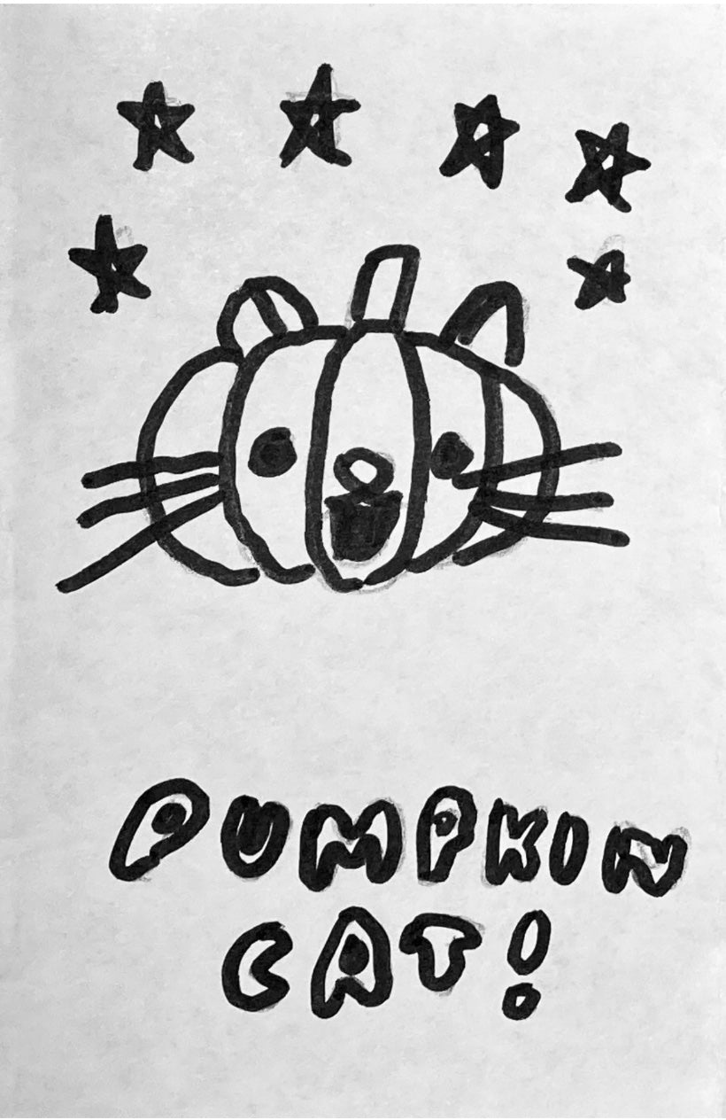 Pumpkin Cat zine