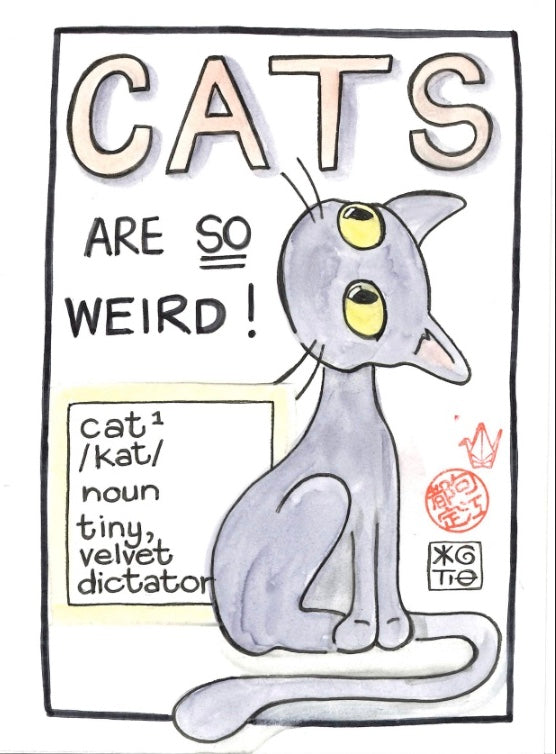 Cats Are Weird zine