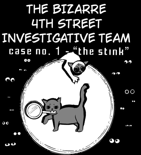 The Bizarre 4th Street Investigative Team zine
