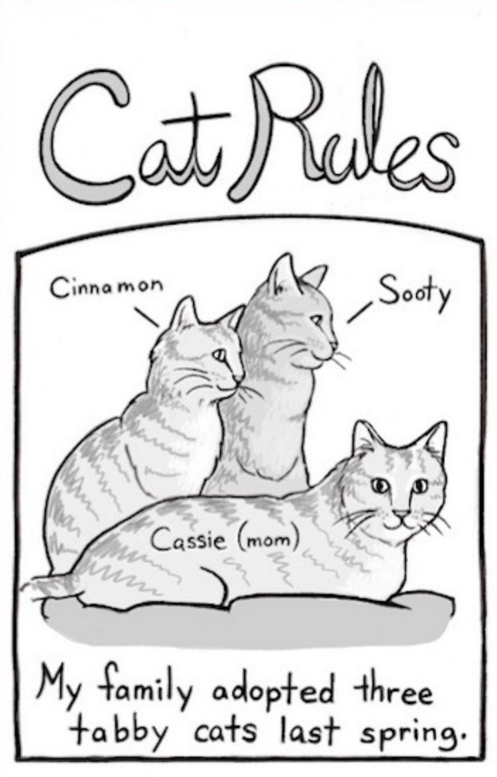 Cat Rules zine