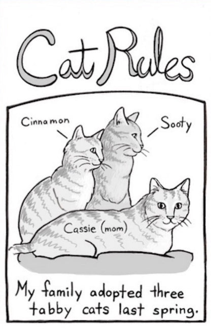 Cat Rules zine