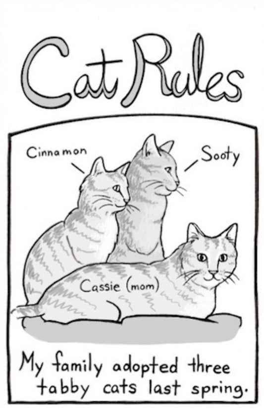 Cat Rules zine