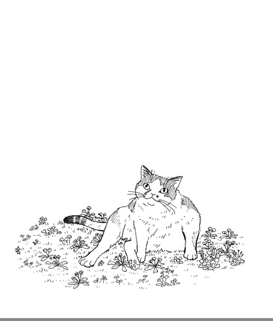 We Love The Cats of the Garden Ramp by Sophie Courge