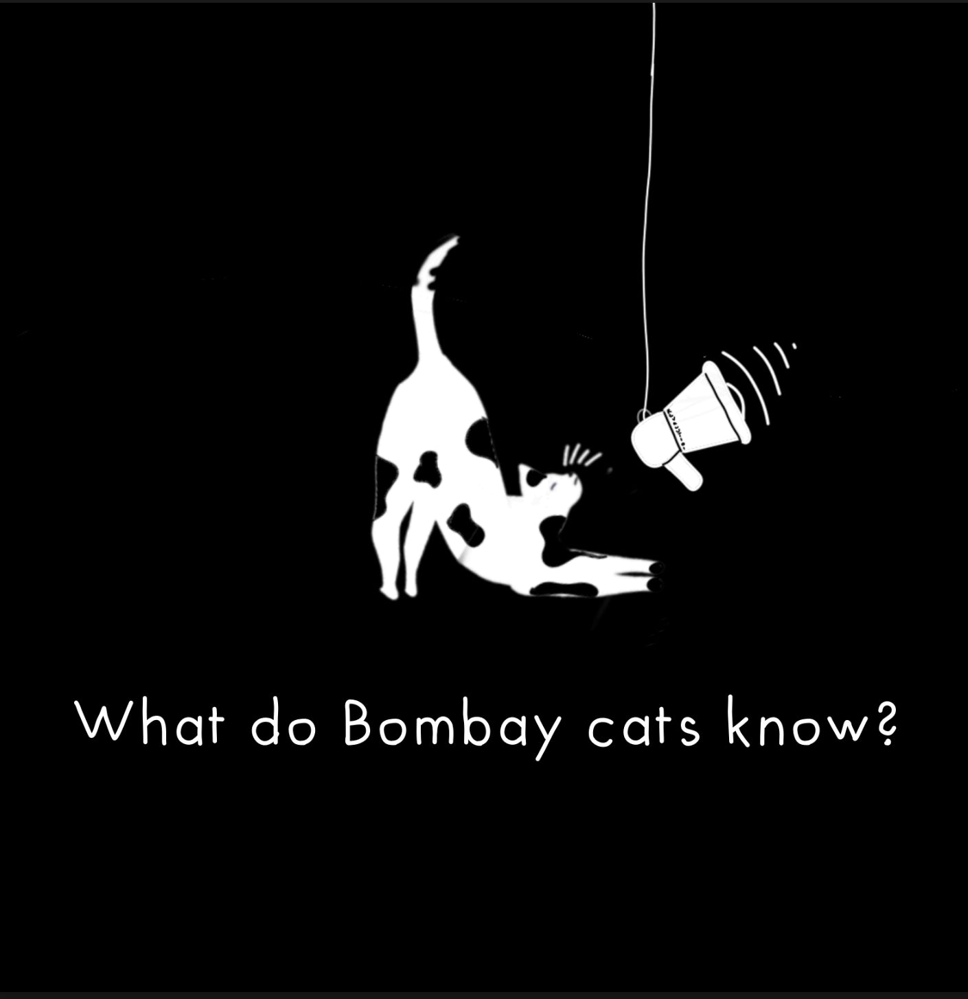 What Do Bombay Cats Know
