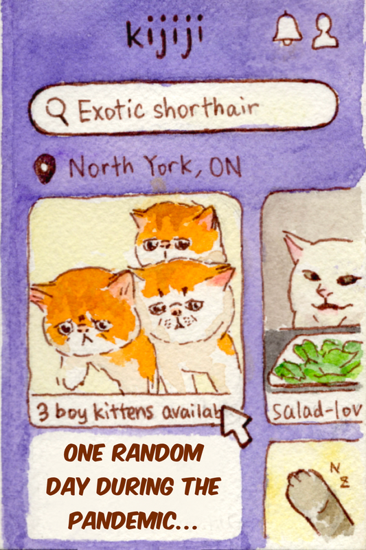 How I Met My First Cat by Natalie Zhang