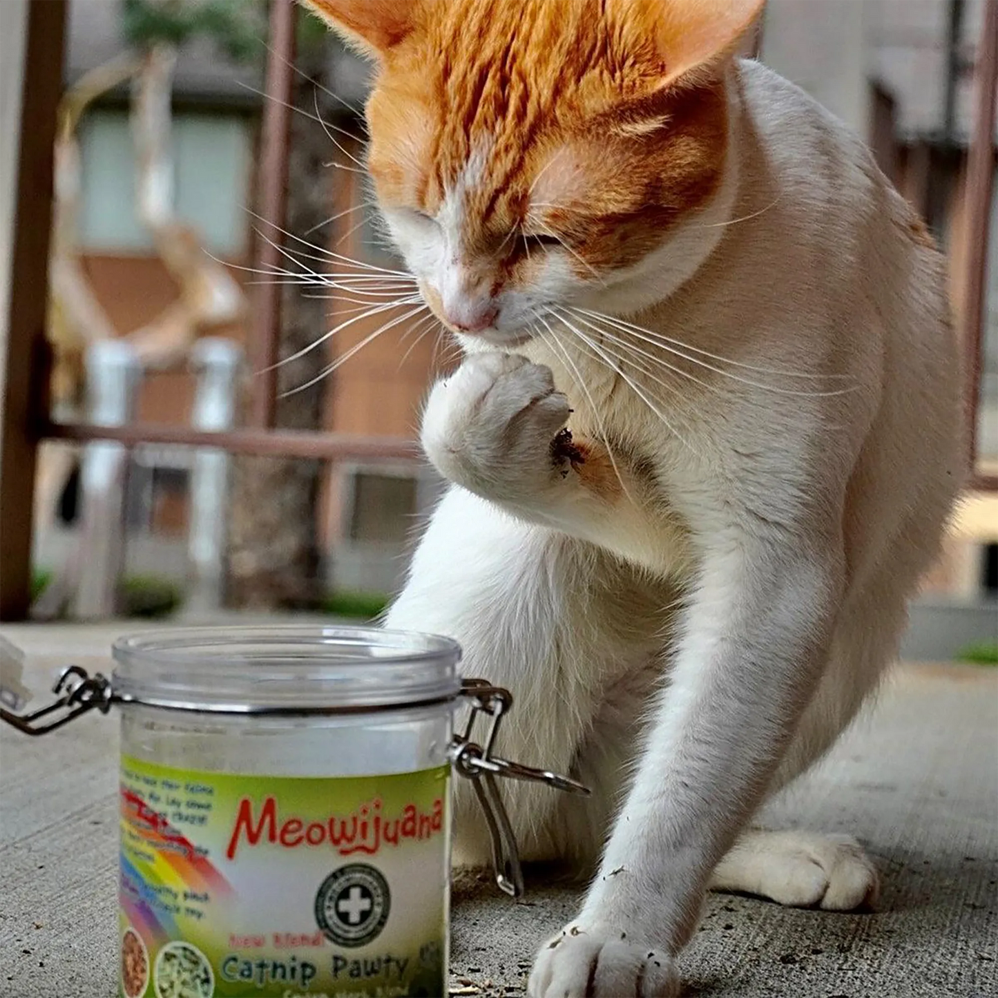 Meowijuana® Jar of Catnibas® Catnip Pawty Mix