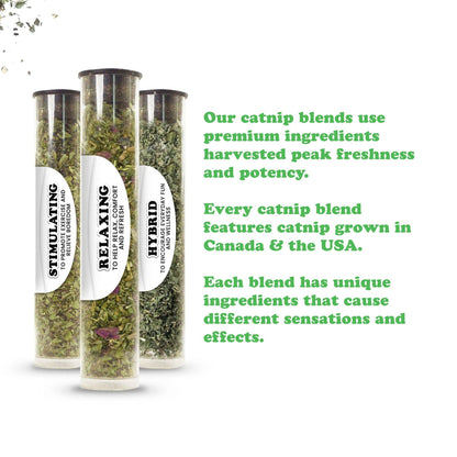 Catnip Sampler 3 Pack