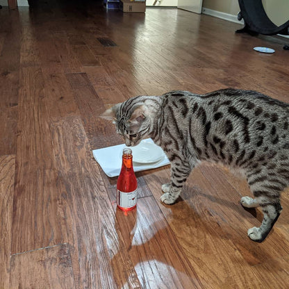 Cat Wine Pinot Meow Liquid Catnip For Cats