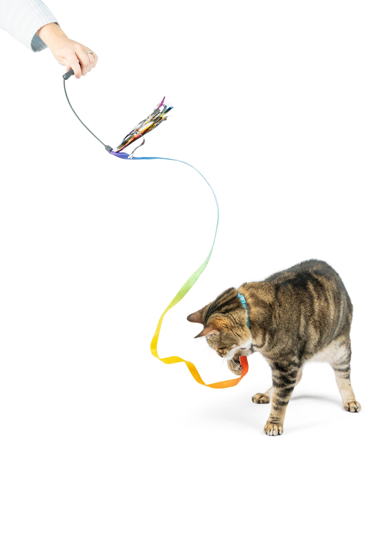 Dance & Lure Rainbow Wand Cat Toy