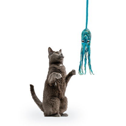 Wool Octopus Cat Toy with 4-Foot Tether - blue, green