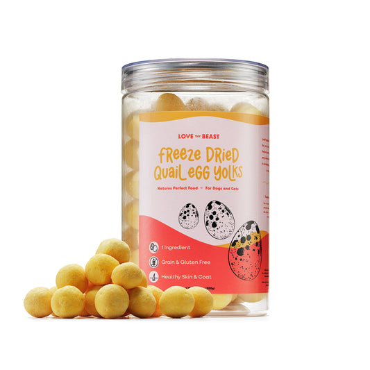 Freeze Dried Quail Egg Yolk Cat Treats