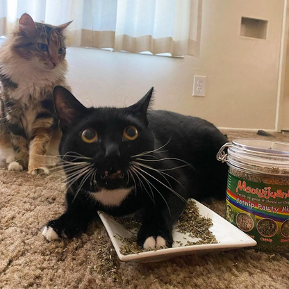 Meowijuana® Jar of Catnibas® Catnip Pawty Mix