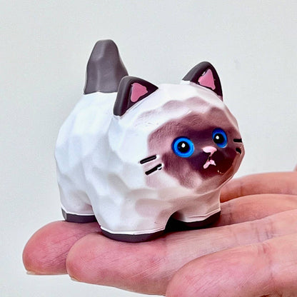 Cat Family Blind Box