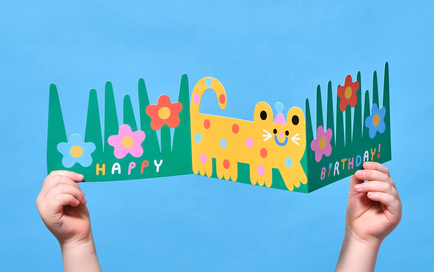 Wrap - 'Cat'  Fold Out Kid's Birthday Card