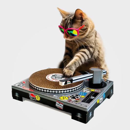 Cat Scratch DJ Deck