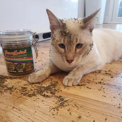 Meowijuana® Jar of Catnibas® Catnip Pawty Mix