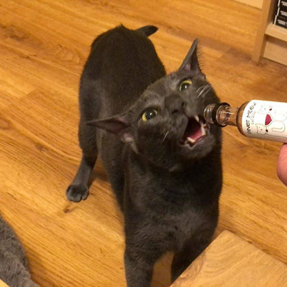 Cat Wine Pinot Meow Liquid Catnip For Cats