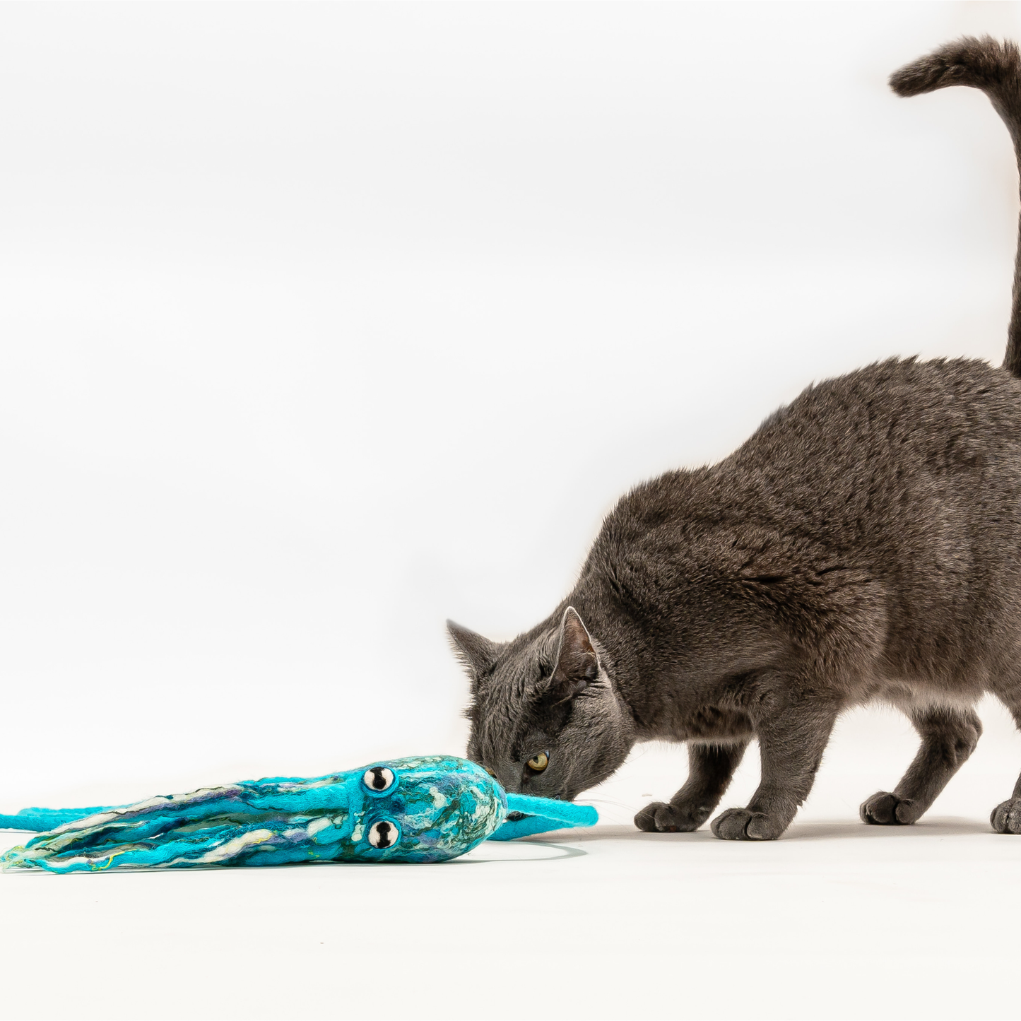 Wool Octopus Cat Toy with 4-Foot Tether - blue, green