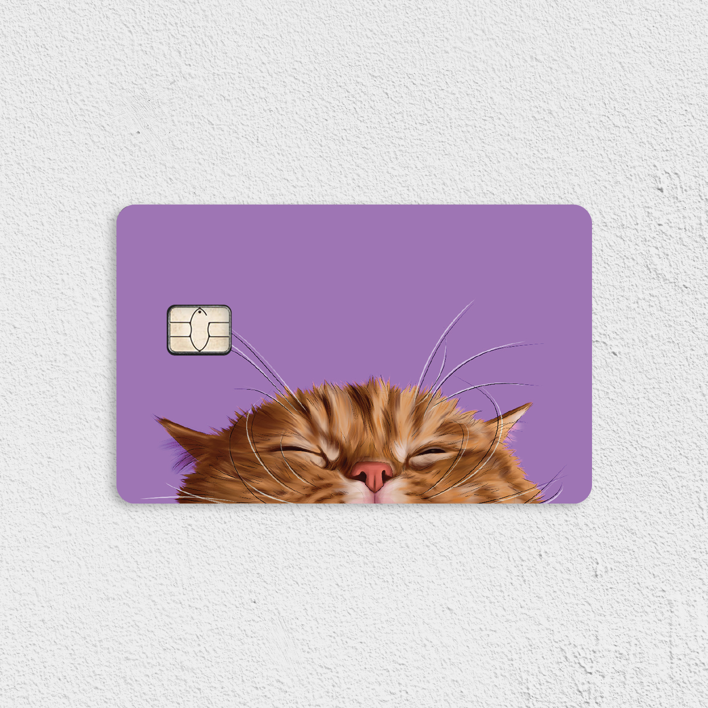 Drowsy Meow Credit Card Skin