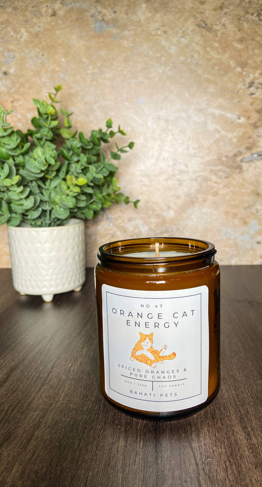 Orange Cat Energy 8 oz 100% Soy Candle