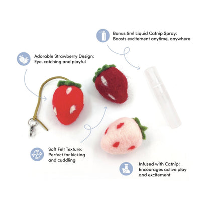 Strawberry Felt Kicker Cat Toy