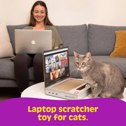 What Do You Meme - ScratchPad Pro — Cardboard Laptop Cat Scratcher