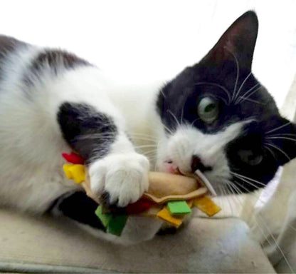 Catnip Tacos s/2 & Bulk