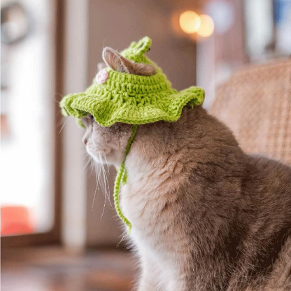 Cute Frog Pet Hat for Small Animals