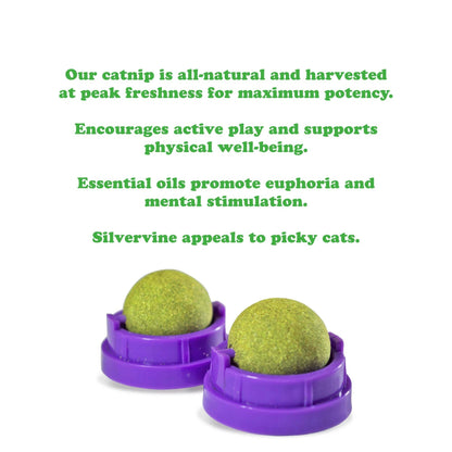 Purrple Passion Stick 'n' Lick Catnip 2 Pack