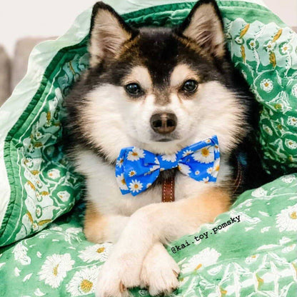 Huxley & Kent - Flower Child Bow Tie