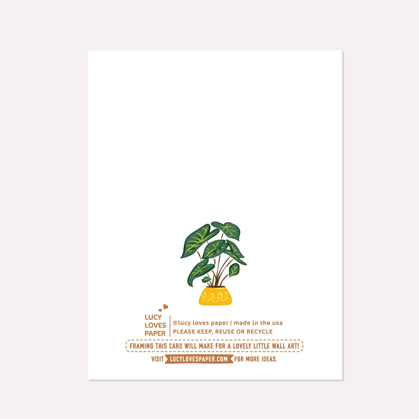 Lucy Loves Paper - Cat's Bookshelf | Everyday Card for Plants & Book Lovers