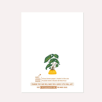 Lucy Loves Paper - Cat's Bookshelf | Everyday Card for Plants & Book Lovers