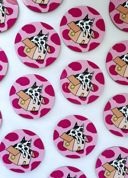 Funny Cat in a Box Drinks Coaster