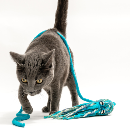 Wool Octopus Cat Toy with 4-Foot Tether - blue, green