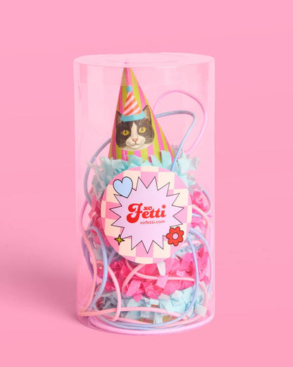 Cat Mini Party Hats Stripes