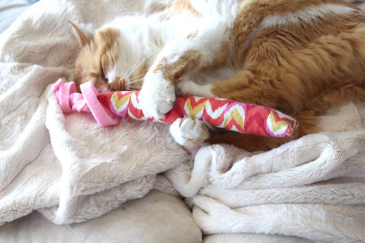 Cat Toy Kickers