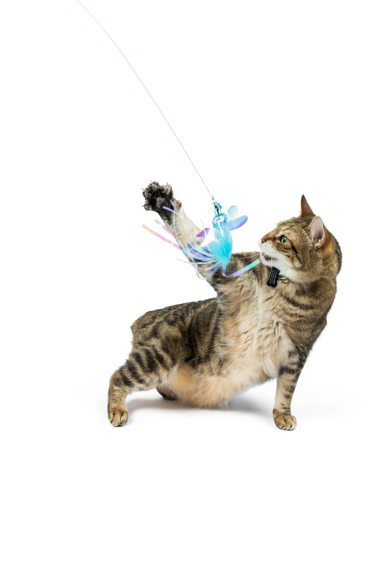 Wire Dragonfly & Mouse Wand Cat Toy