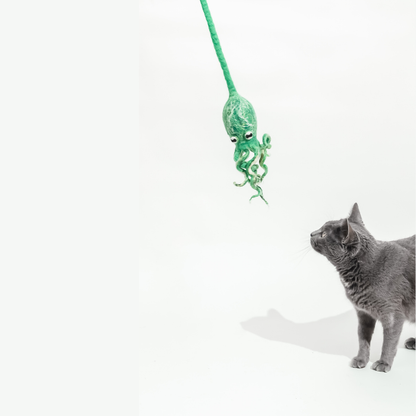 Wool Octopus Cat Toy with 4-Foot Tether - blue, green